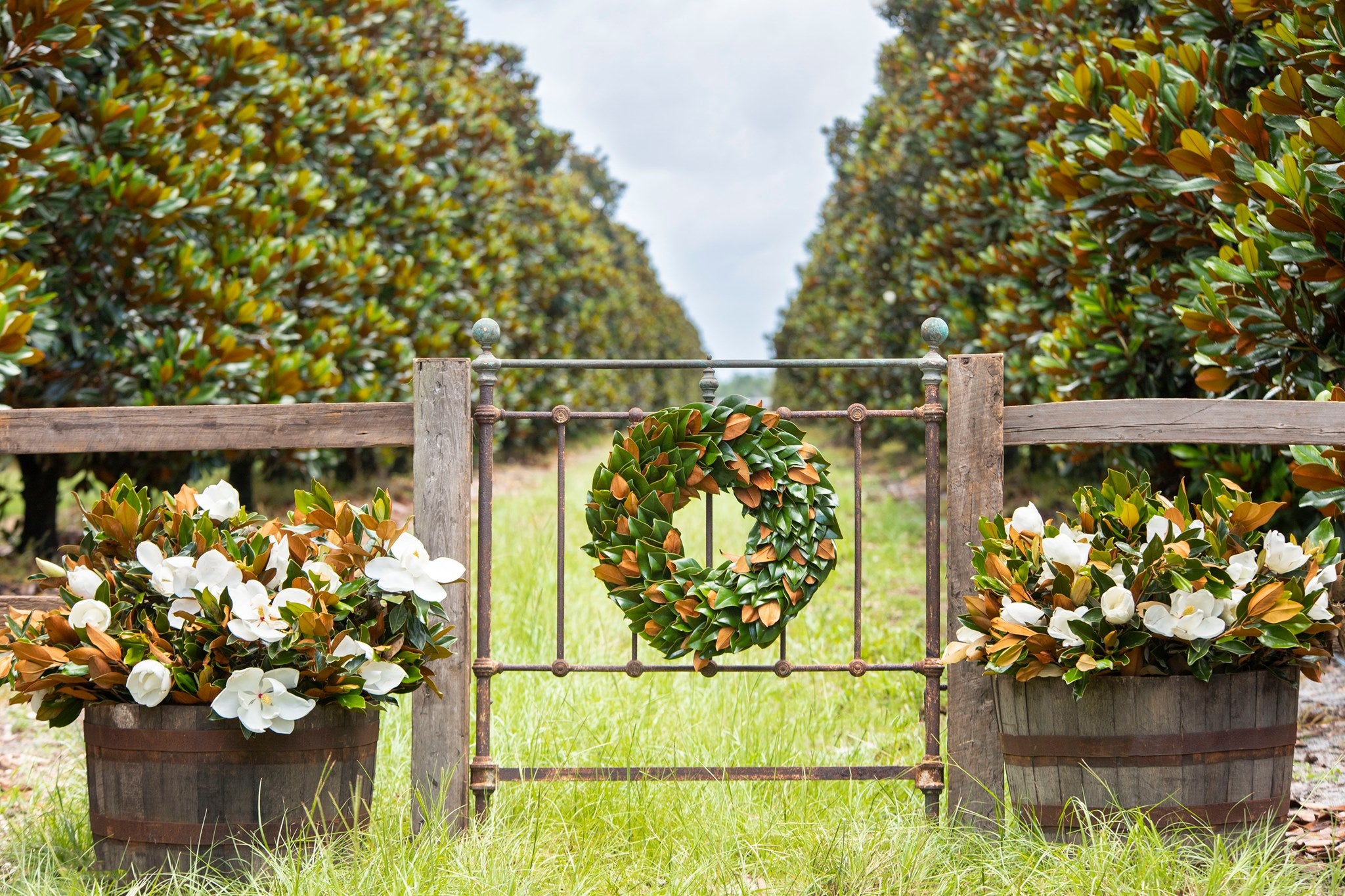 The Original Magnolia Wreath Collection