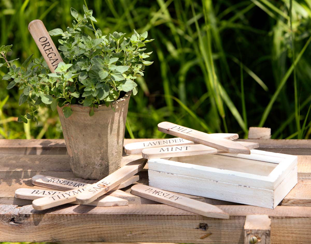 Wooden Herb Plant Stake Garden Markers in Wooden Box with oregano plant 
