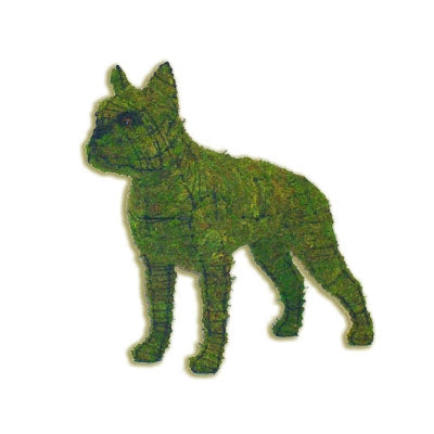 mossed wire boston terrier dog wired topiary