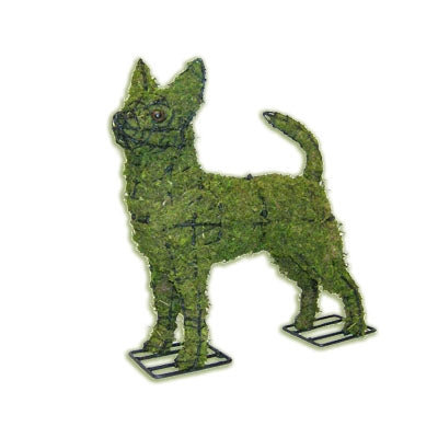 Topiary, Mossed Chihuahua Dog