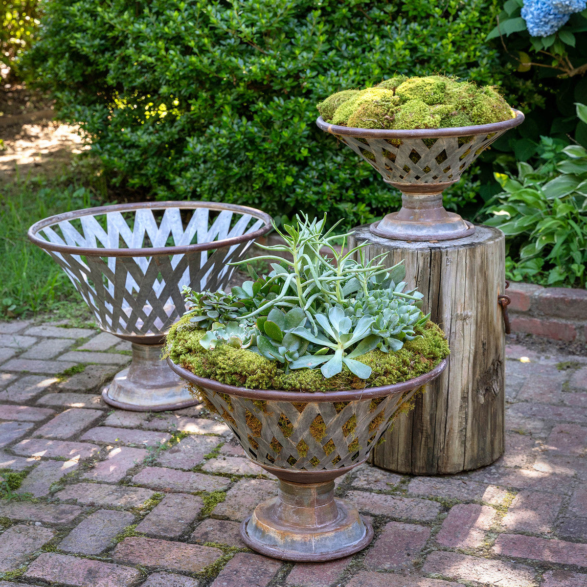woven metal footed bowl set of three with moss succulent plants garden