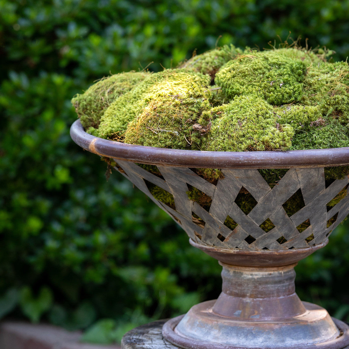 woven metal footed luxe bowl planter with mood moss