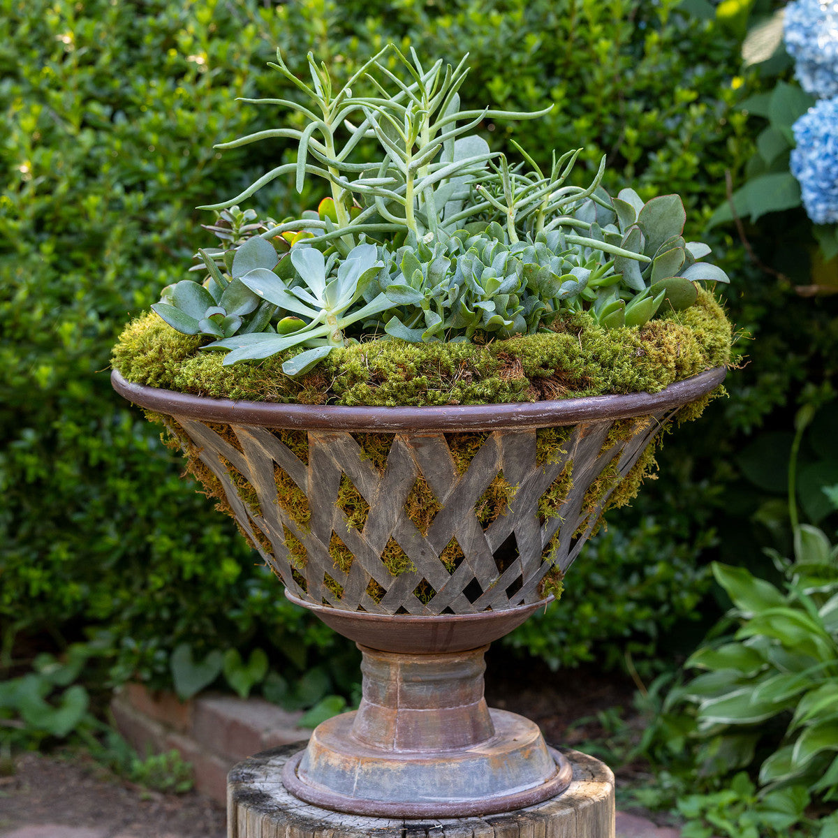 woven metal luxe footed bowl planter in garden filled with green succulents blue hydrangea