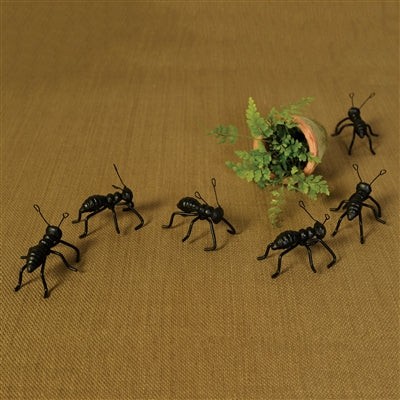 Ant, Black Cast Iron Garden Art - Colonial House of Flowers | bespoke floral design + online shop | Atlanta, Georgia