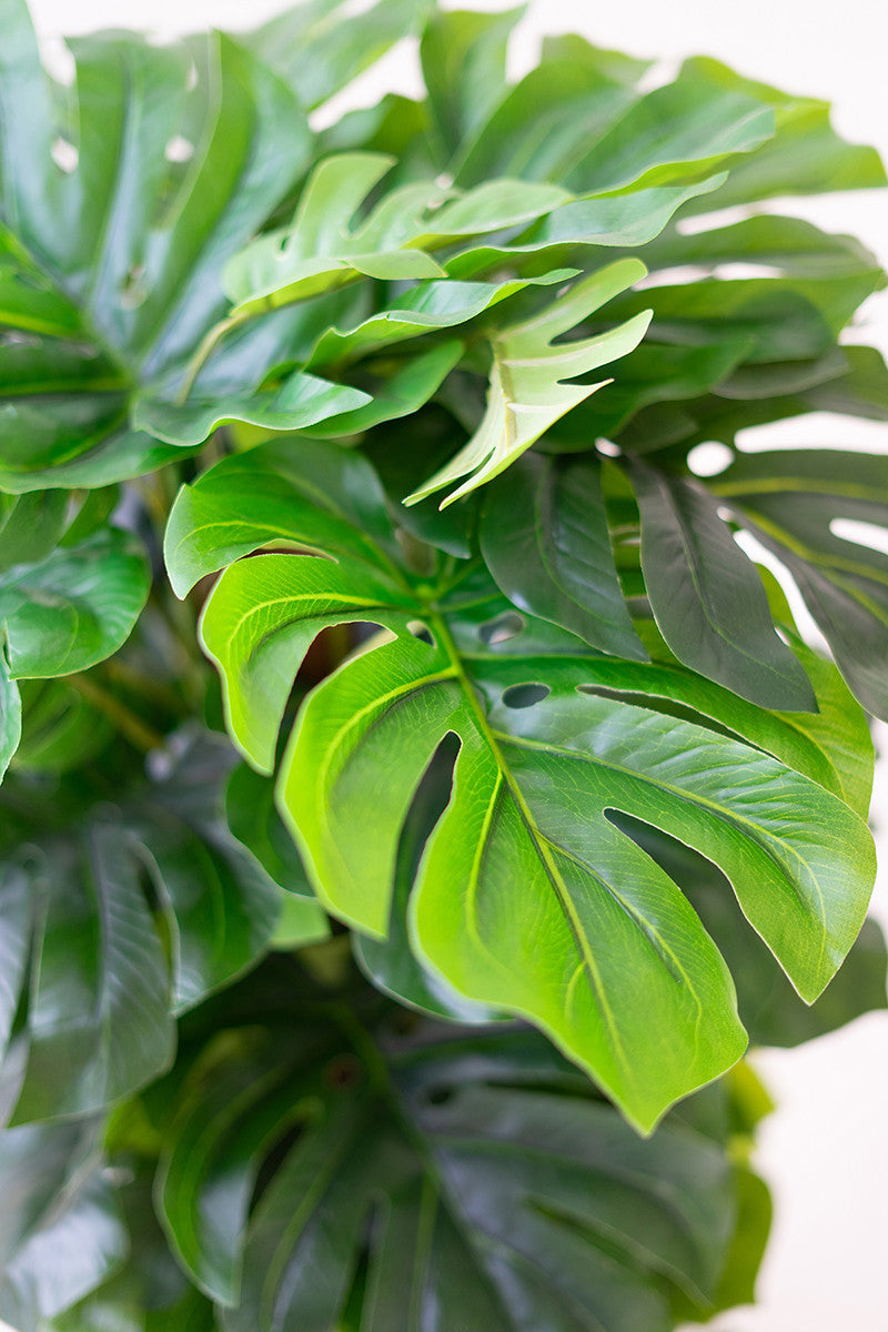artificial faux green monstera plant leaf