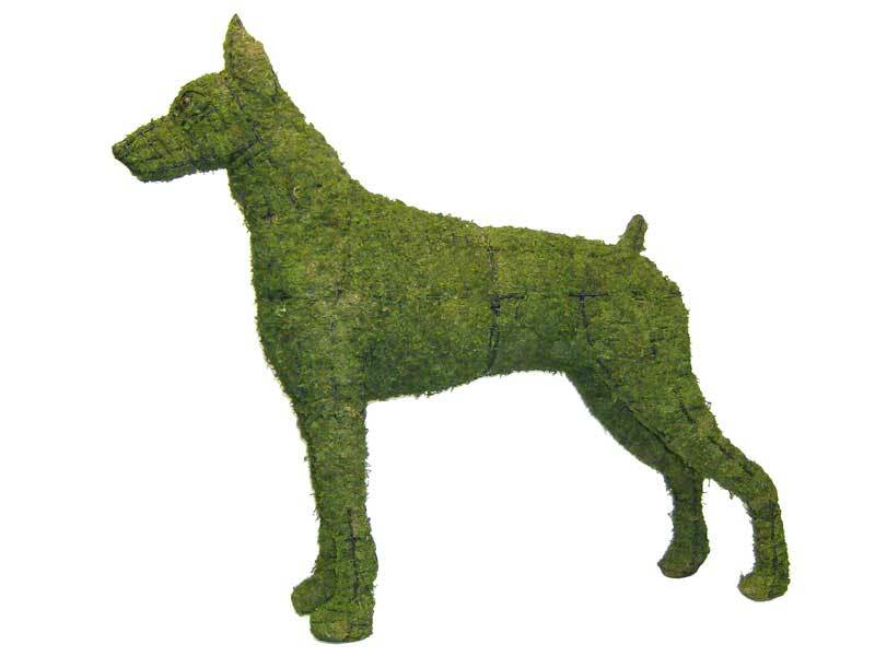 Topiary,  Mossed Doberman Dog