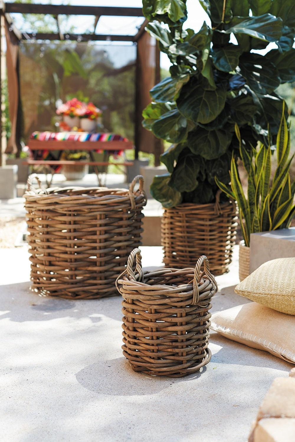 Cabana Collection Ratan Woven Wood Basket & Bowl - Colonial House of Flowers | bespoke floral design + online shop | Atlanta, Georgia