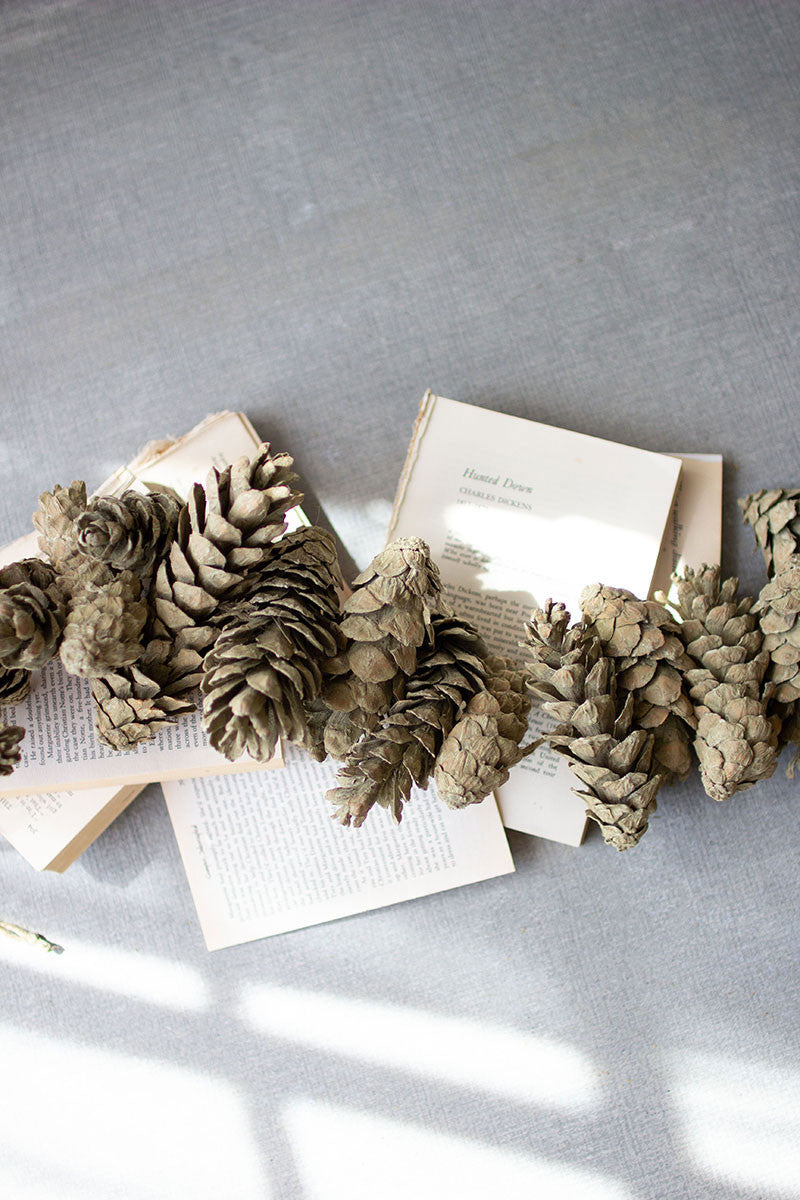 Frosted Pinecones – HW Designs and Giftware