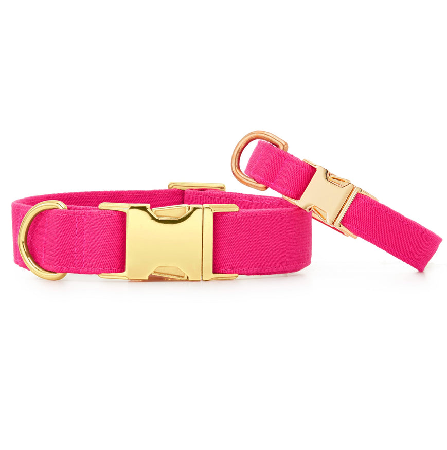 The Foggy Dog Hot Pink Dog Collar