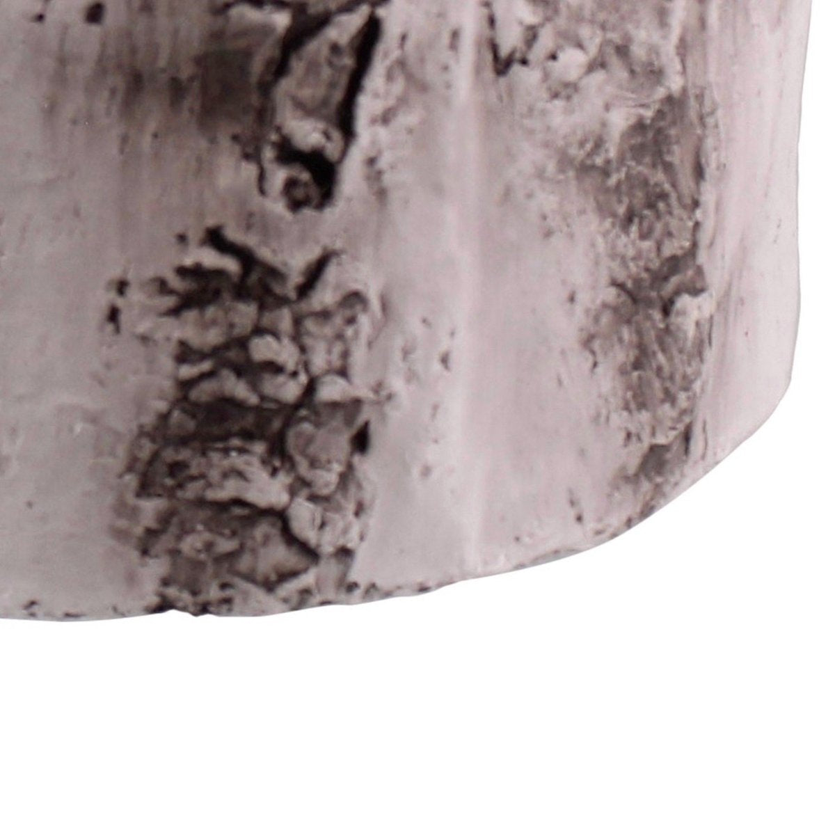 White Birch Cement Cylinder Planter