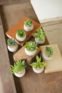 Small Artificial Succulents With Round Cement Pot, Set of 8