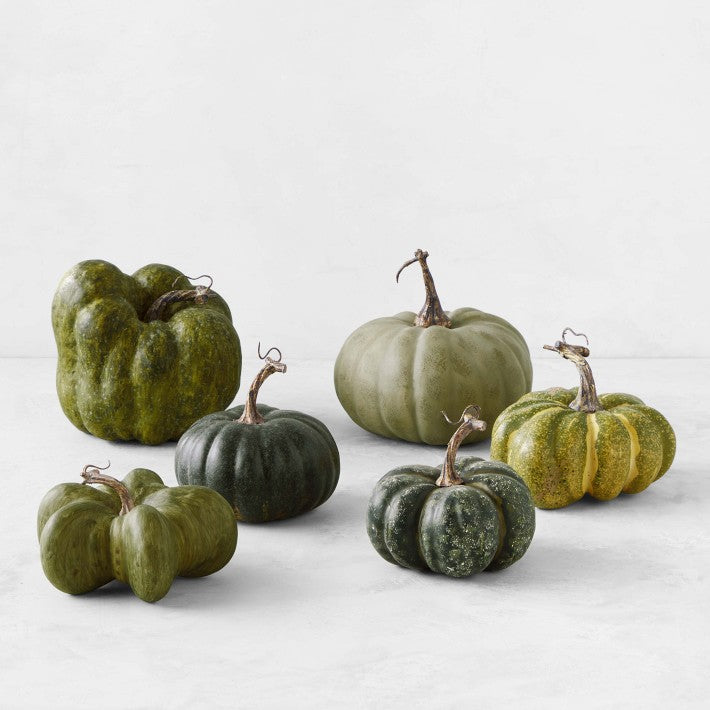 Green Heirloom Pumpkin Collection, Set of 6, Assorted Styles