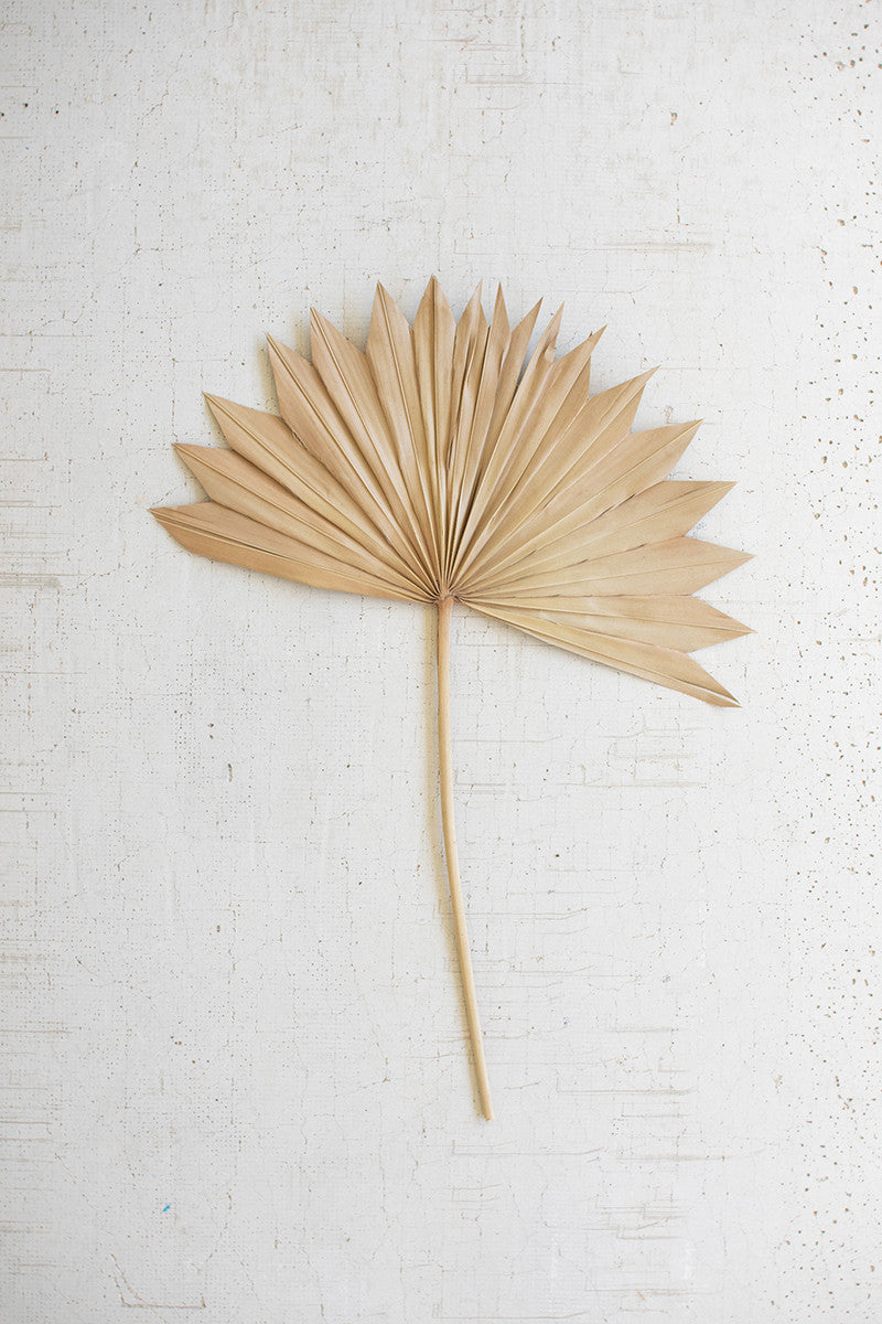 Naturally Bleached Large Sun Palm Spear, Set of 12