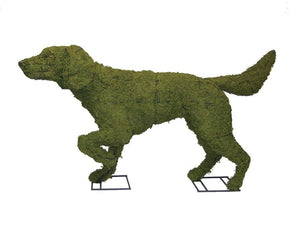 Topiary, Mossed Pointer Dog