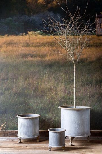 Footed Creamery Tank Metal Planters set of 3 styled with a tree