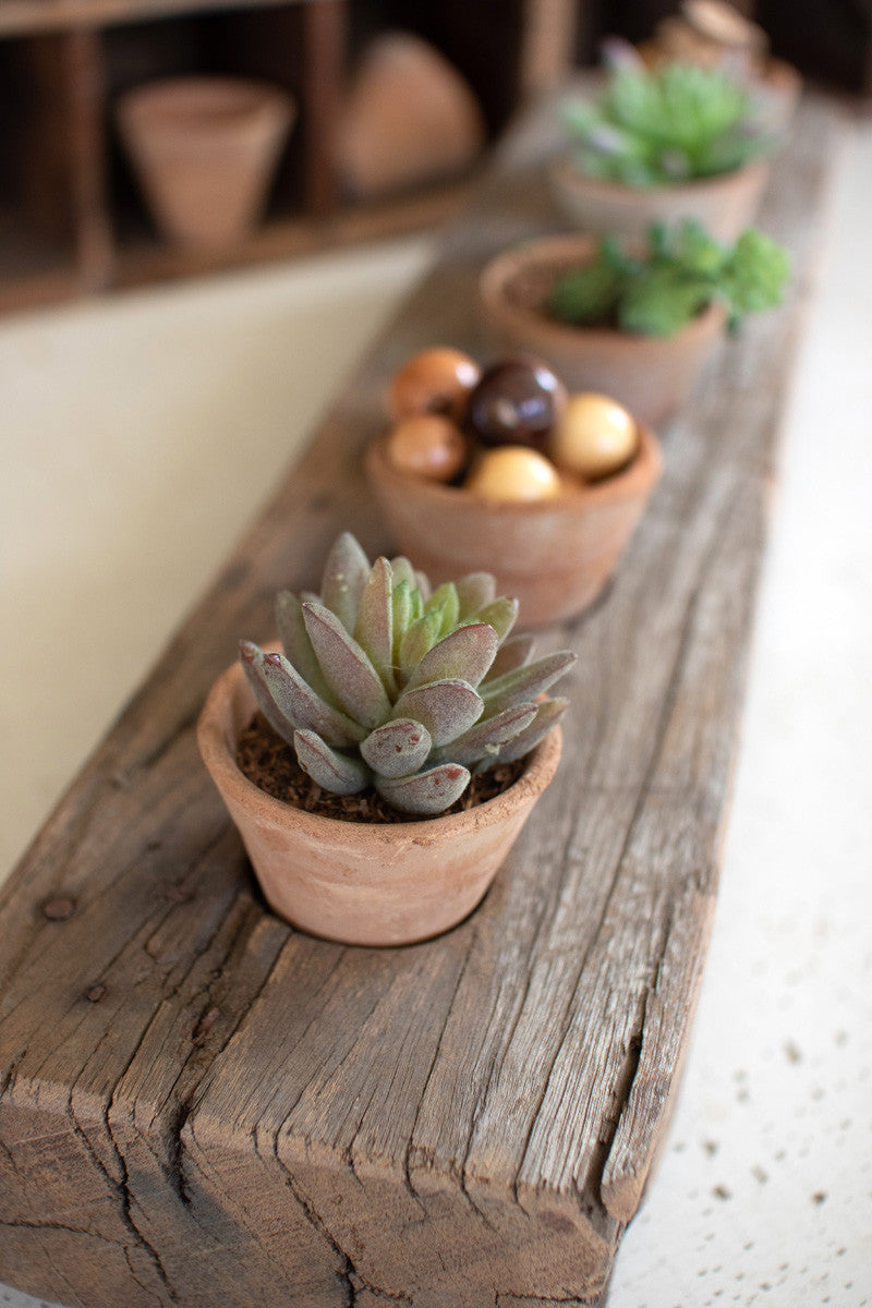 recycled wooden base with five clay succulent holders