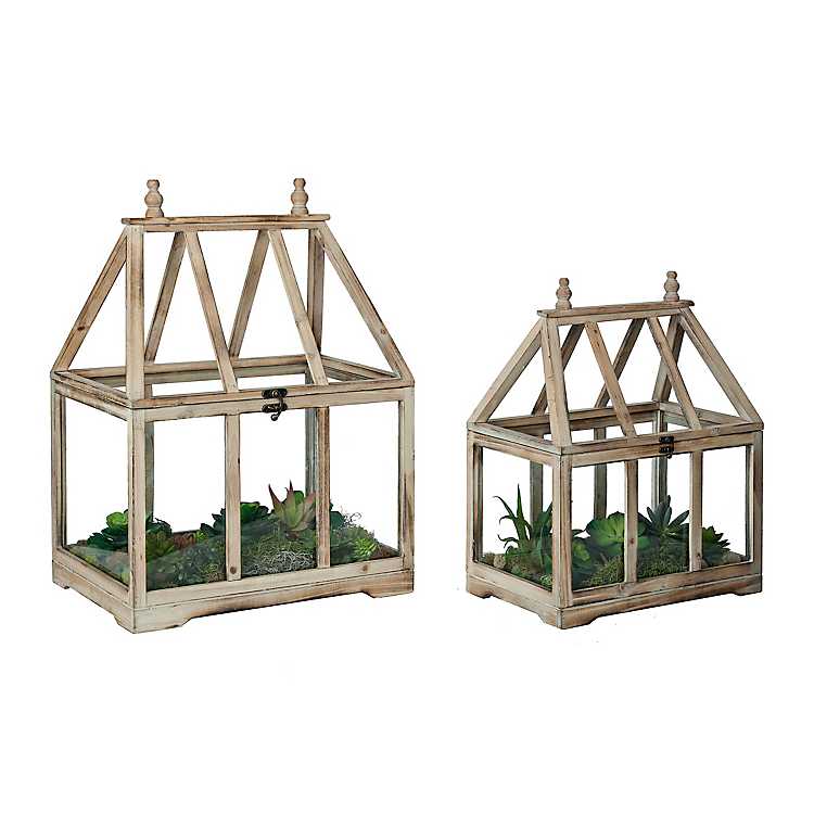 Wood and Glass Terrarium, Set of 2